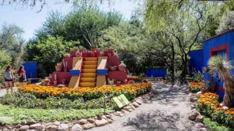 Frida Kahlo's Tucson Botanical Garden